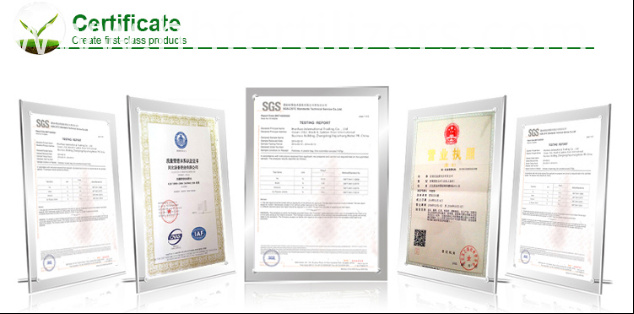 certificate certificate